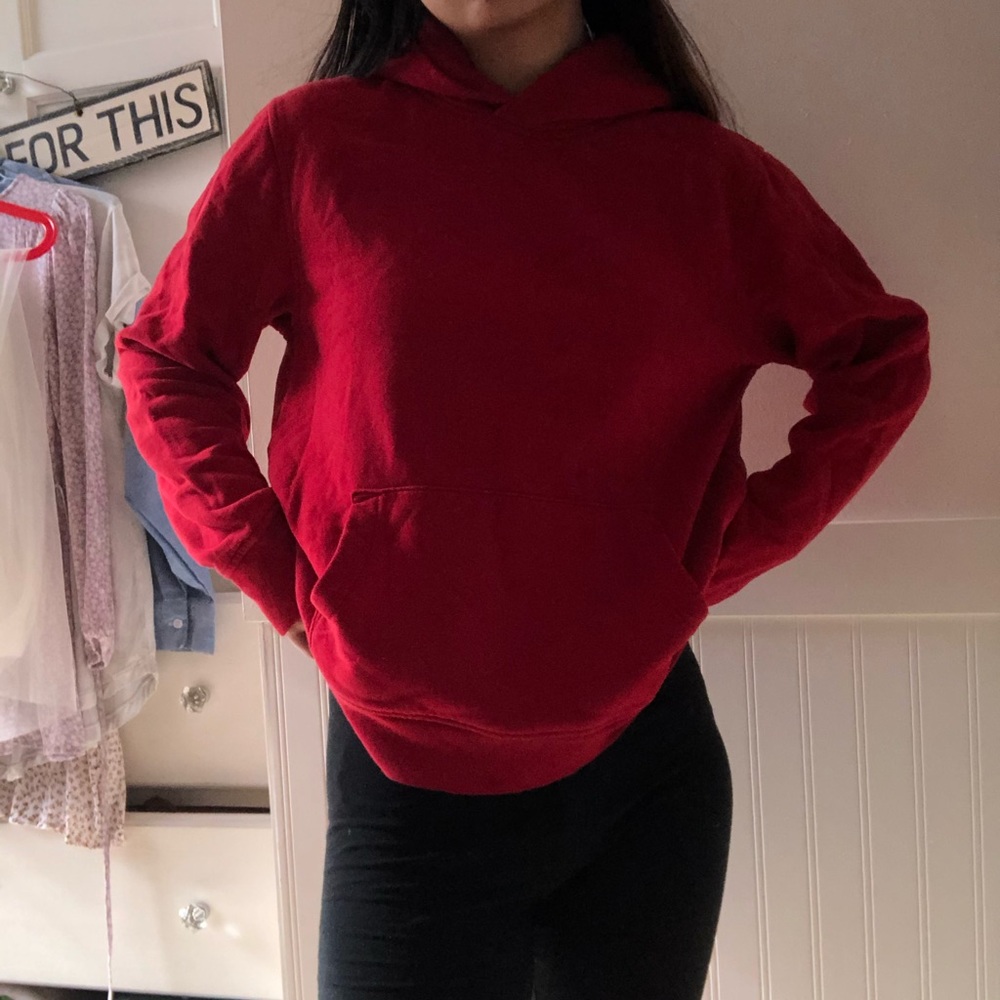 men’s basic thick red gap hoodie